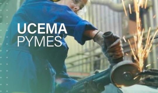 Informe PyMEs UCEMA