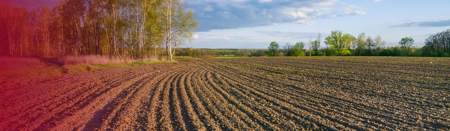 Departamento de Economía Agrícola, Recursos Naturales y Agronegocios